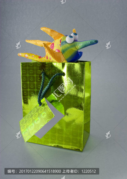 袋里的玩具魚