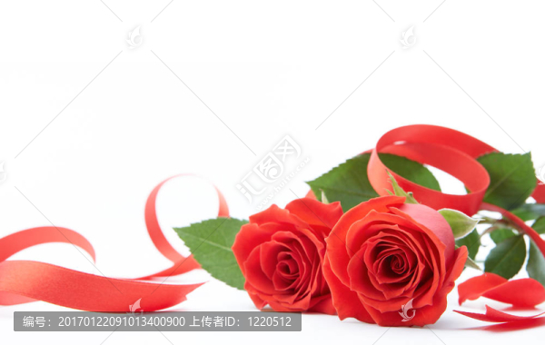 兩朵玫瑰
