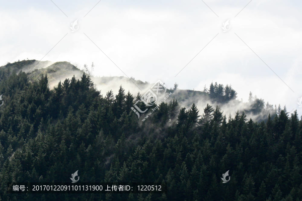 馬爾堡的聲音；新西蘭