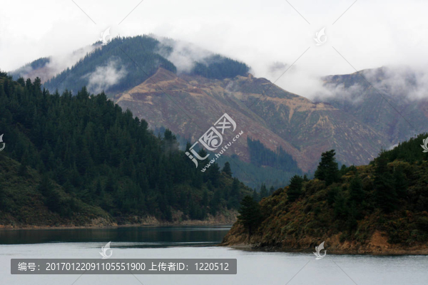 馬爾堡的聲音；新西蘭