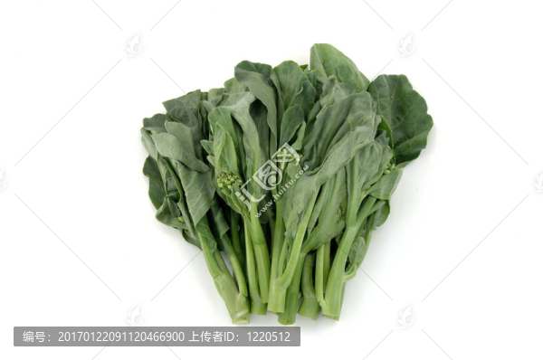 中國(guó)西蘭花