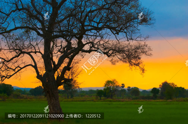 夕陽無限好