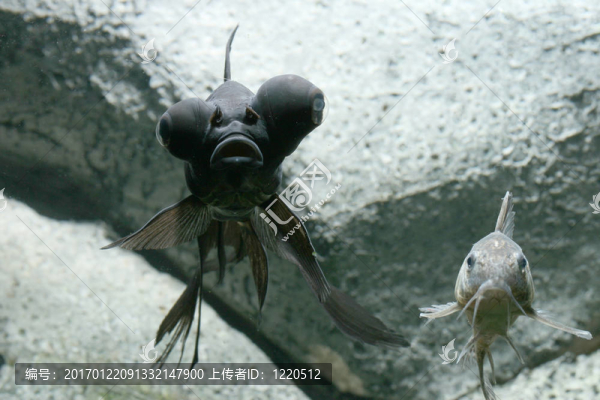 我們看著你