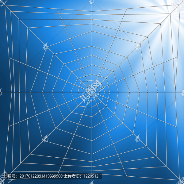 蛛網(wǎng)圖