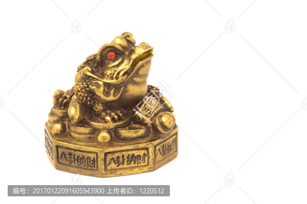 金幣金幣青蛙