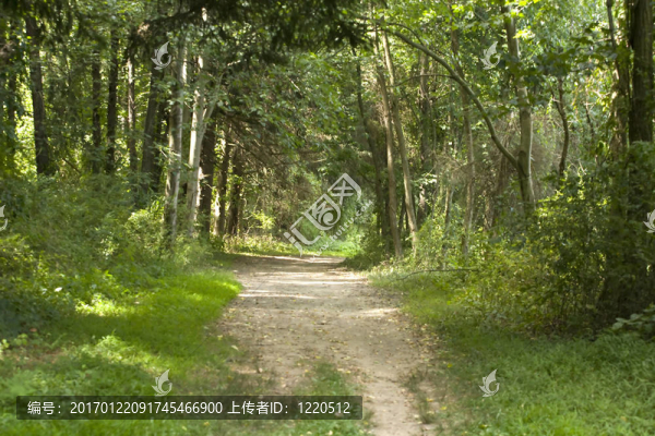 路少走