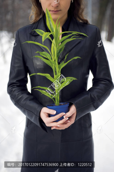 綠色植物