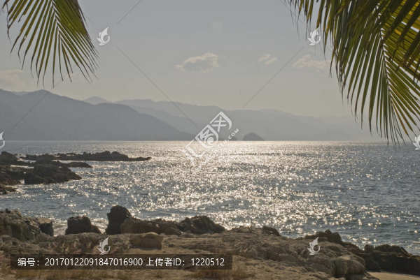 太半洋海岸的午后陽光