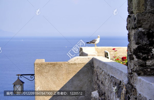 從Aragones,castle