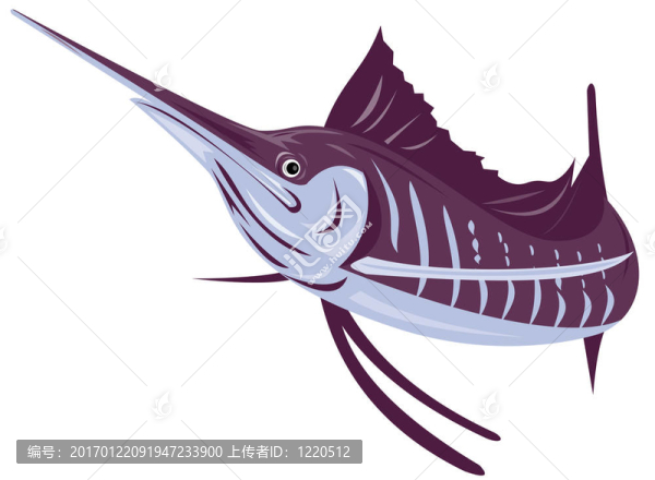藍(lán)槍魚
