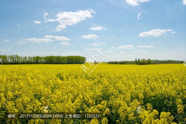 場(chǎng)