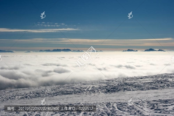 山