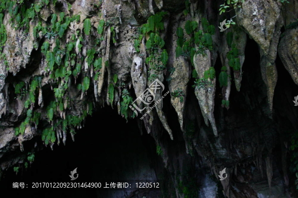 魯山