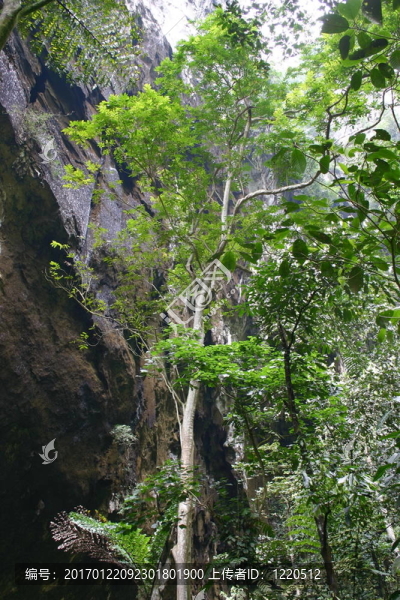 魯山