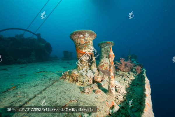 右柱的thethistlegorm