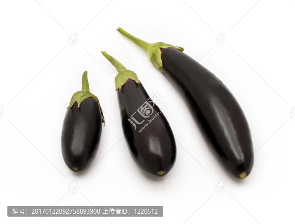 茄子白色隔離