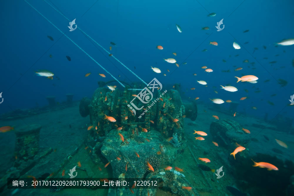 Thistlegorm的anchorwinch