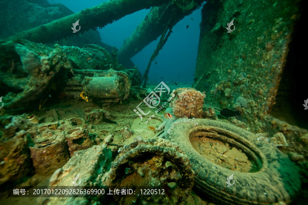 thistlegorm