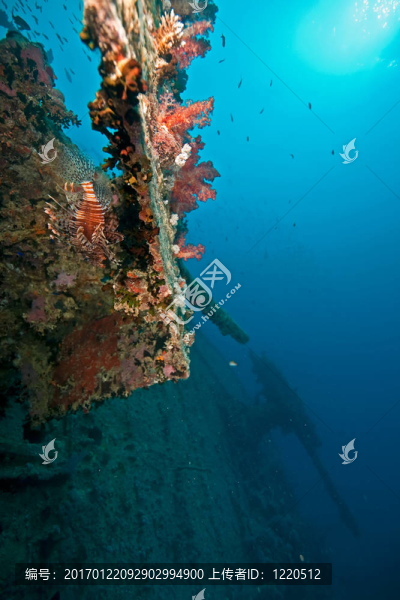 輕高射炮在thistlegorm