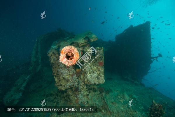 輕高射炮在thistlegorm