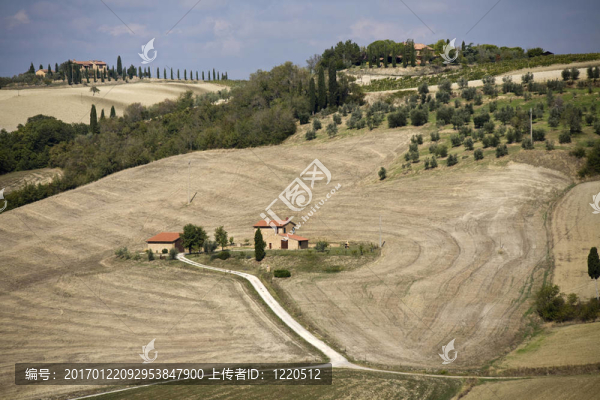 托斯卡納景觀。Val,D,Orcia；托斯卡納；意大利。