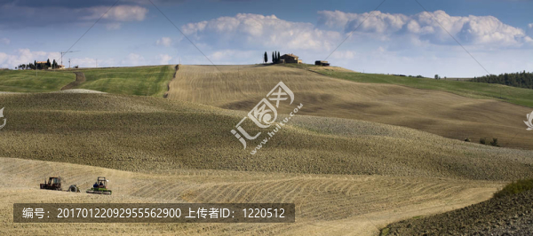 托斯卡納景觀。Val,D,Orcia；托斯卡納；意大利。