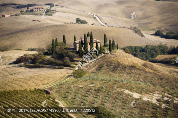 托斯卡納景觀。Val,D,Orcia；托斯卡納；意大利。