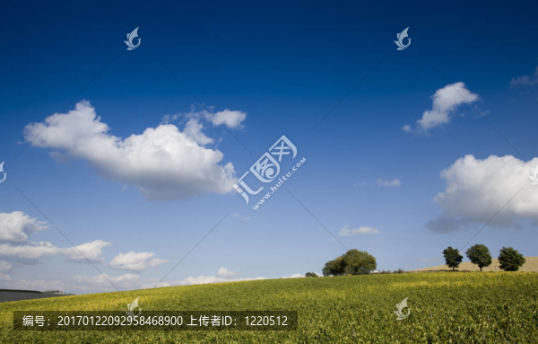 托斯卡納景觀。Val,D,Orcia；托斯卡納；意大利。