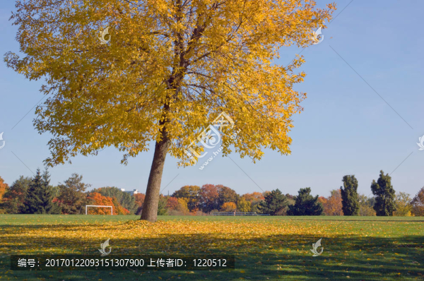 公園