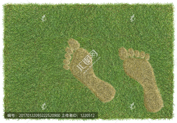 草地上的腳印