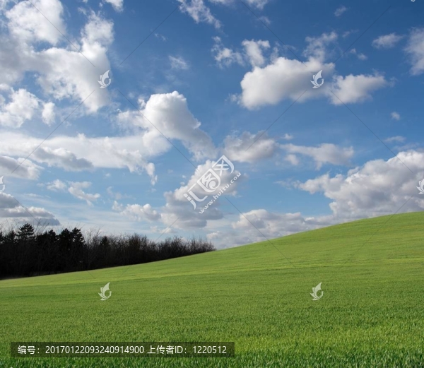 場(chǎng)