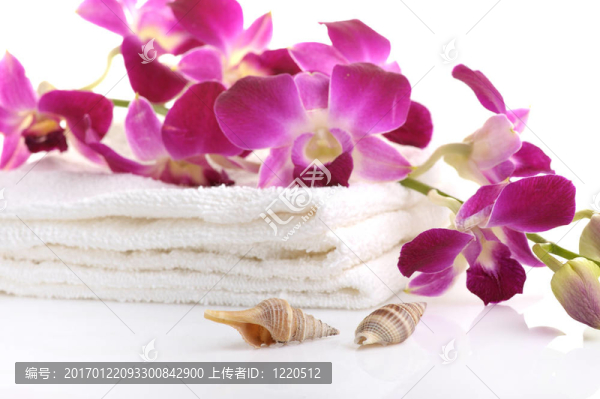 溫泉主題