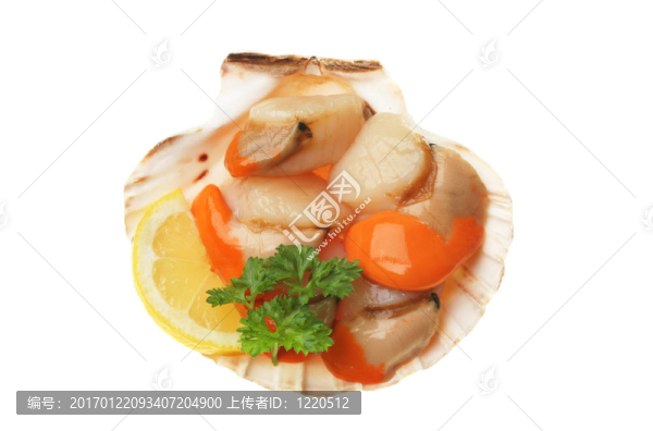 扇貝的殼