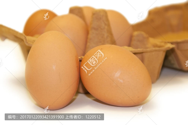 雞蛋白