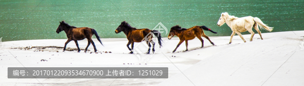 奔馬圖