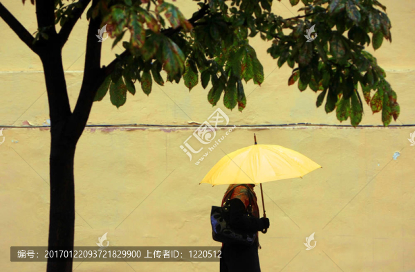 黃色的雨傘