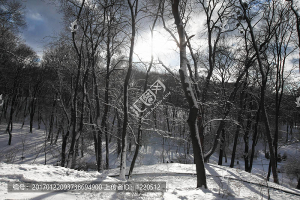冬天的雪園