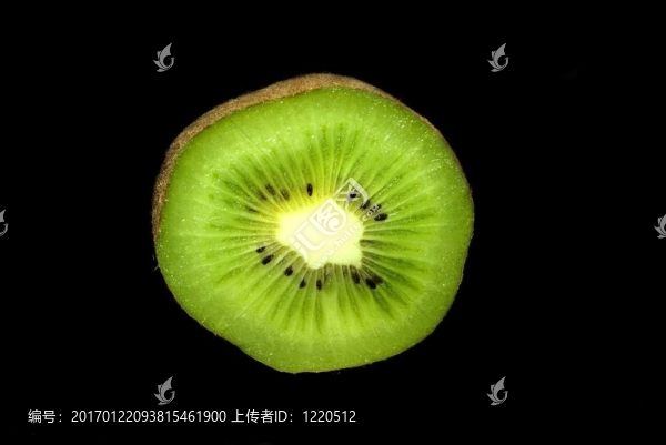 幾維鳥(niǎo)
