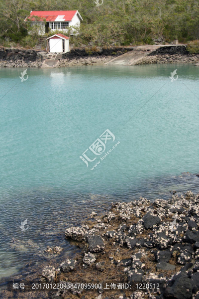 朗伊托托島；新西蘭