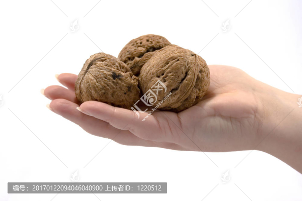 手和核桃