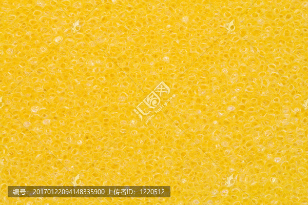 海綿質(zhì)地