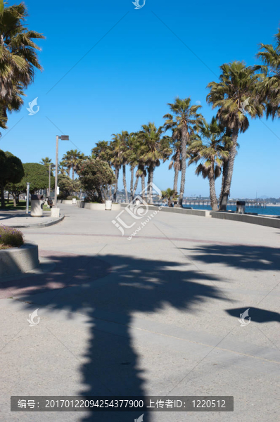 手掌的影子-匯圖網(wǎng) www.fosd68.com 手掌的影子