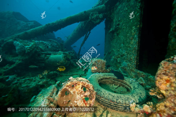 thistlegorm