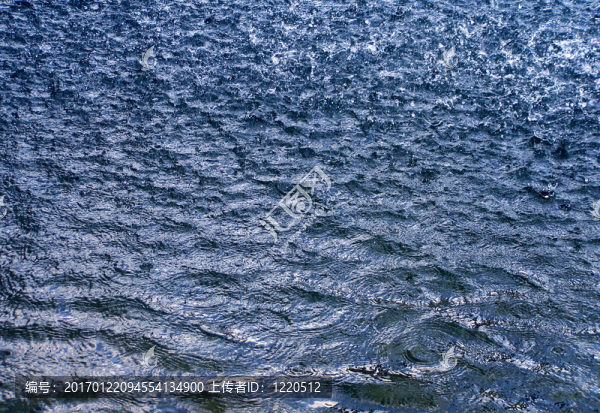 雨