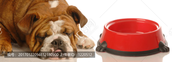餓狗