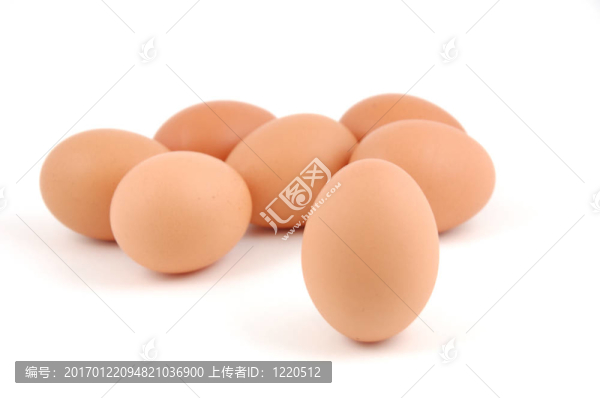 雞蛋