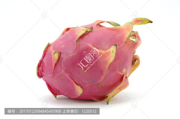 火龍果