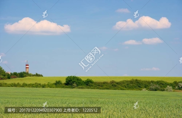 場