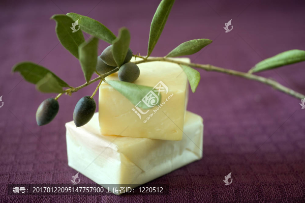 橄欖皂