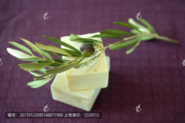 橄欖皂